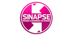 Curso Sinapse